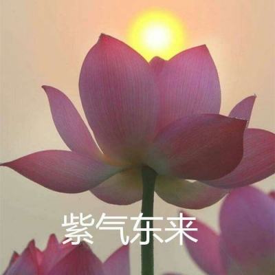 装备英雄手游下载